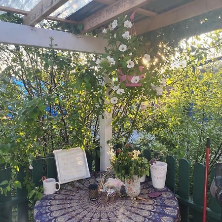 Shannon Estuary Glamping Effernan Extérieur photo