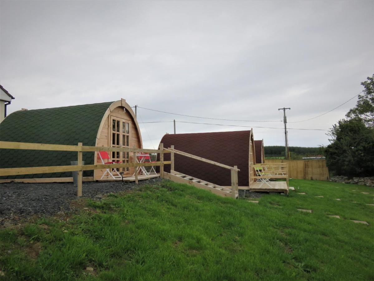 Shannon Estuary Glamping Effernan Extérieur photo