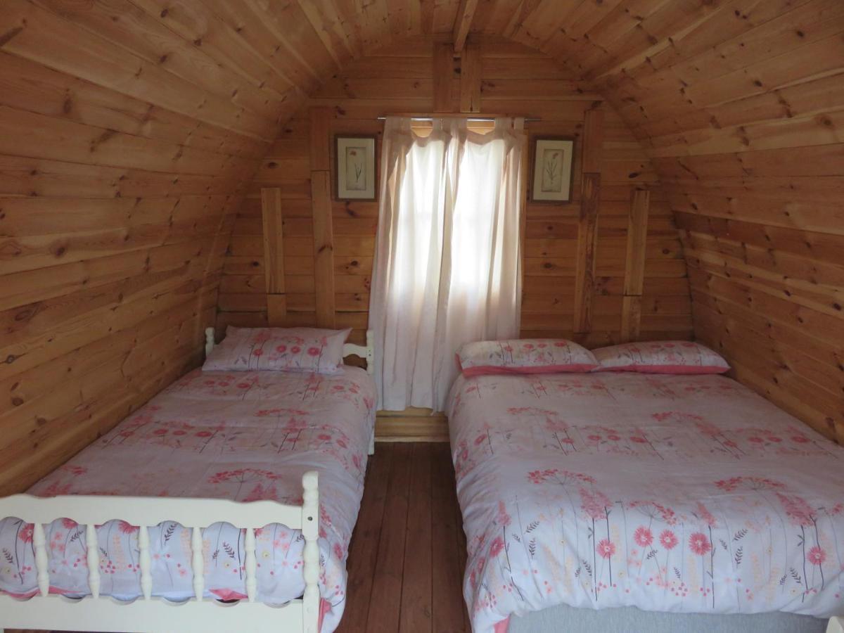 Shannon Estuary Glamping Effernan Extérieur photo