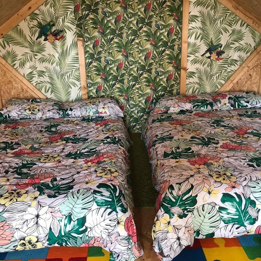 Shannon Estuary Glamping Effernan Extérieur photo