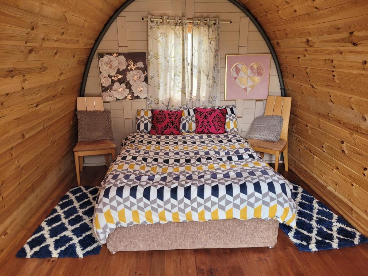 Shannon Estuary Glamping Effernan Extérieur photo