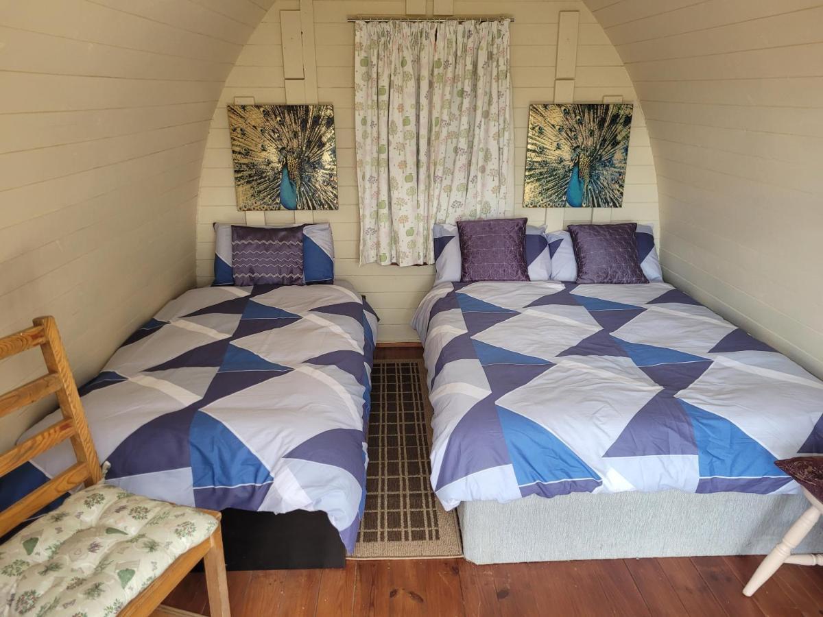 Shannon Estuary Glamping Effernan Extérieur photo