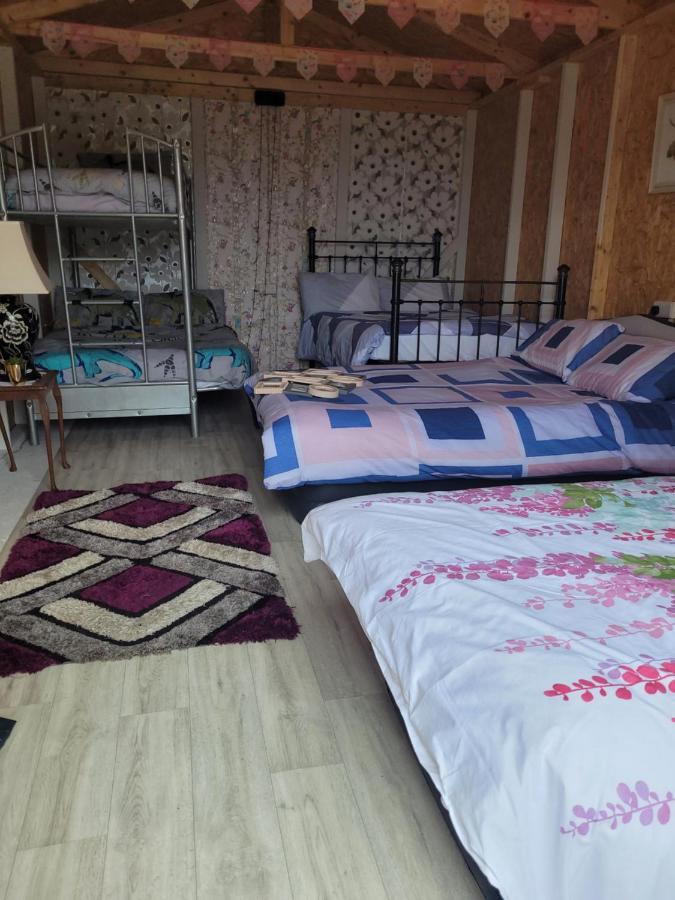 Shannon Estuary Glamping Effernan Extérieur photo