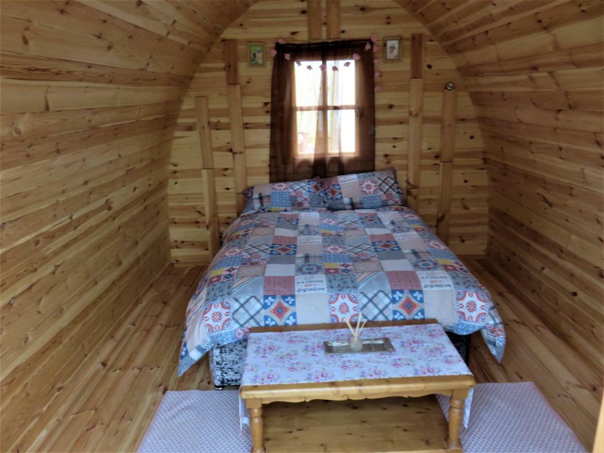 Shannon Estuary Glamping Effernan Extérieur photo