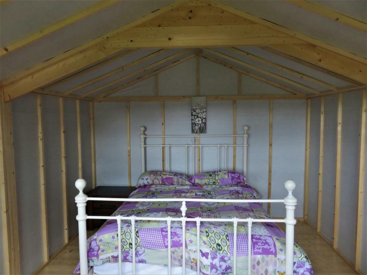 Shannon Estuary Glamping Effernan Extérieur photo