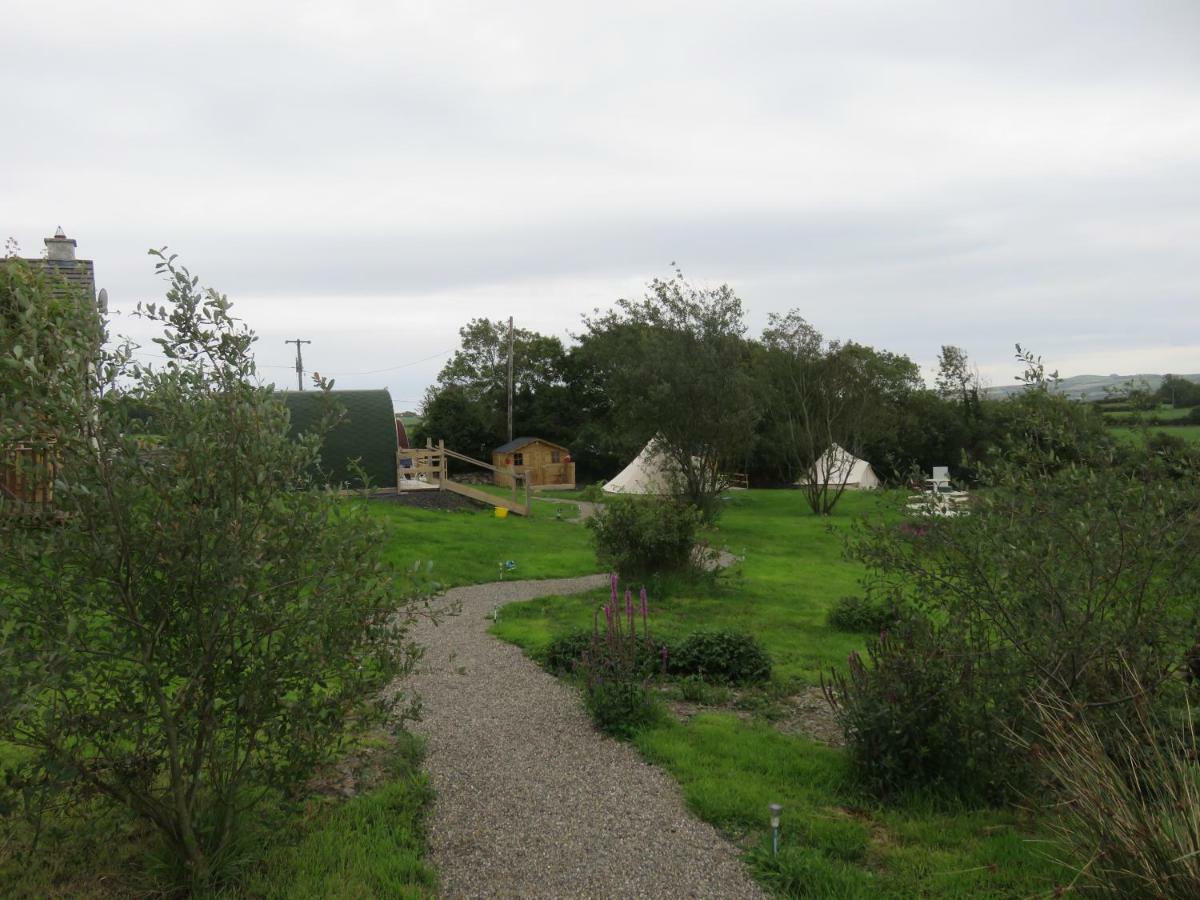 Shannon Estuary Glamping Effernan Extérieur photo