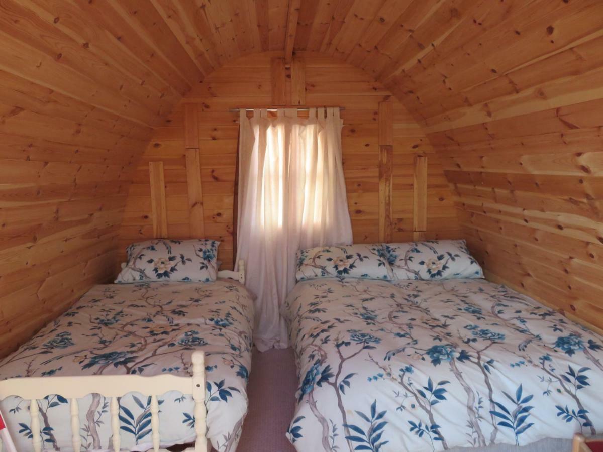 Shannon Estuary Glamping Effernan Extérieur photo