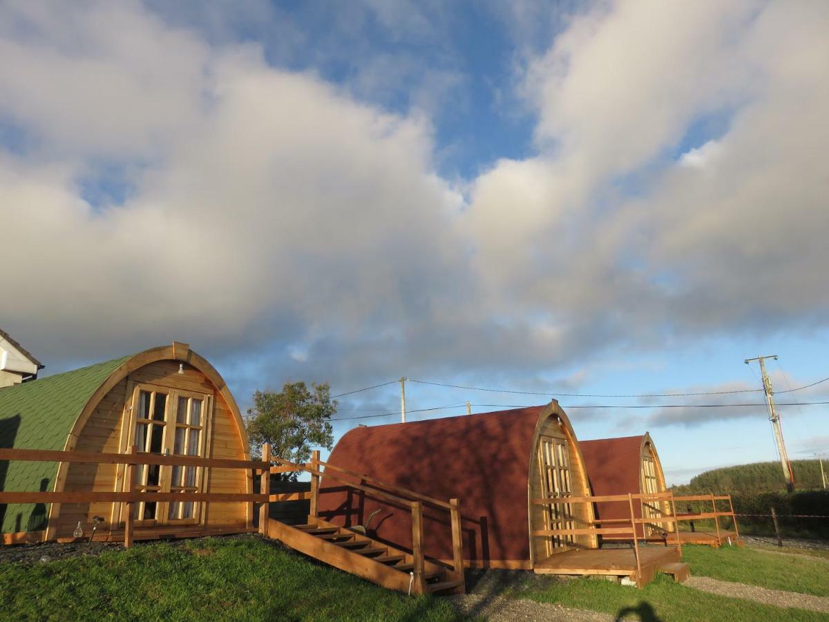Shannon Estuary Glamping Effernan Extérieur photo