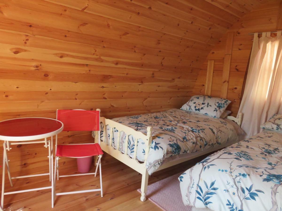 Shannon Estuary Glamping Effernan Extérieur photo