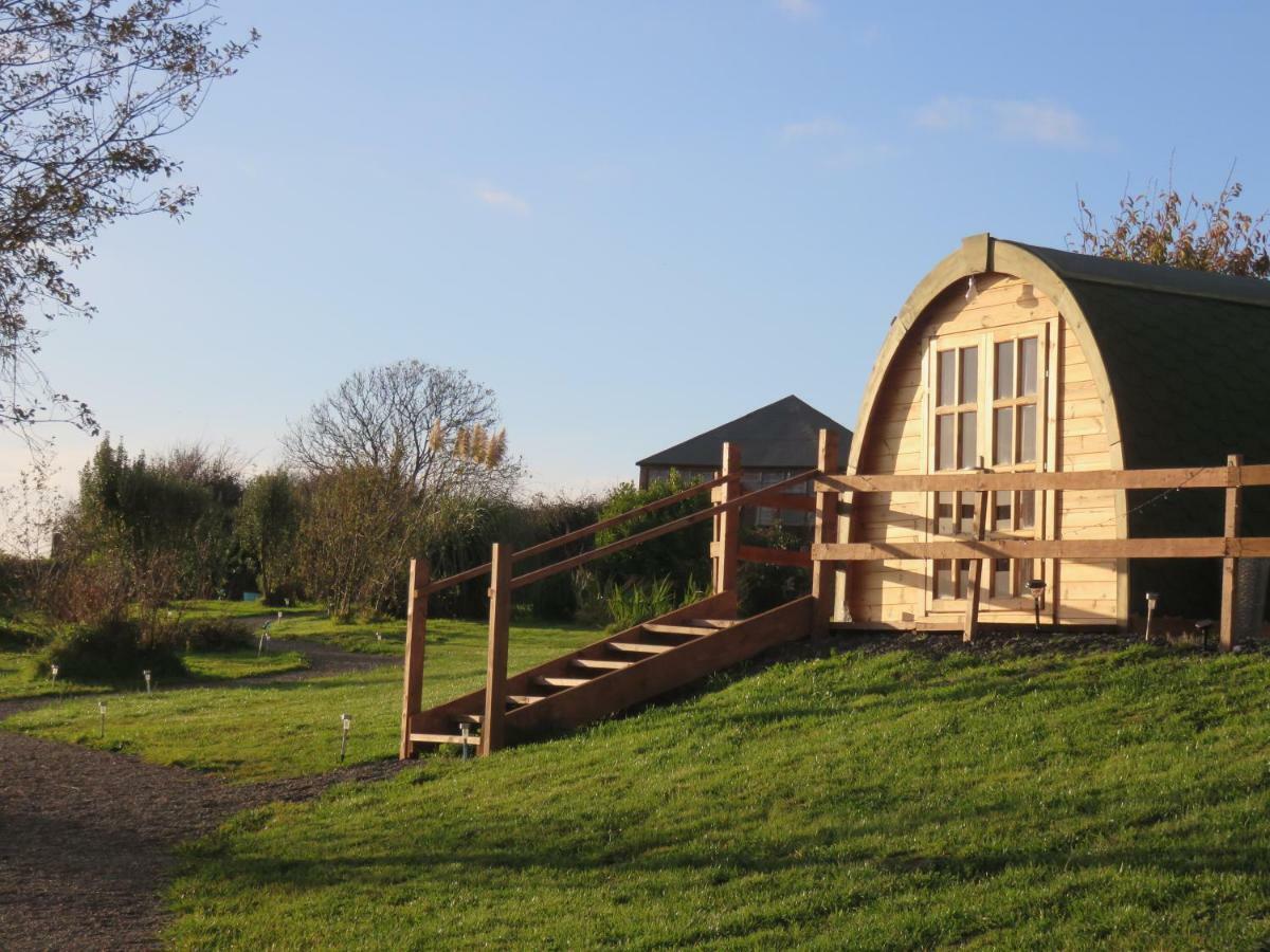 Shannon Estuary Glamping Effernan Extérieur photo